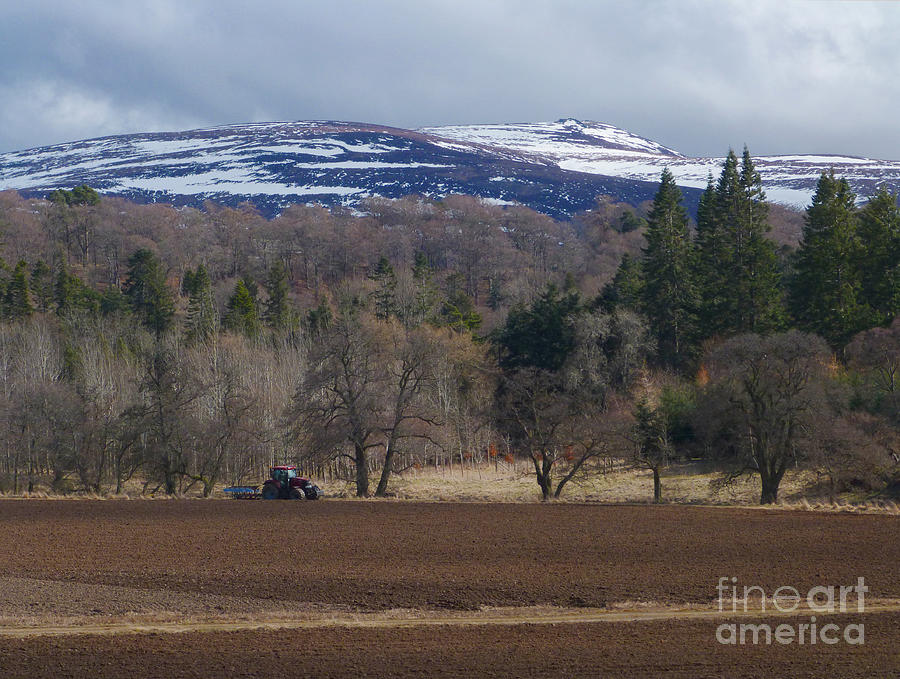 Spring Ploughing - Ballindalloch Photograph by Phil Banks