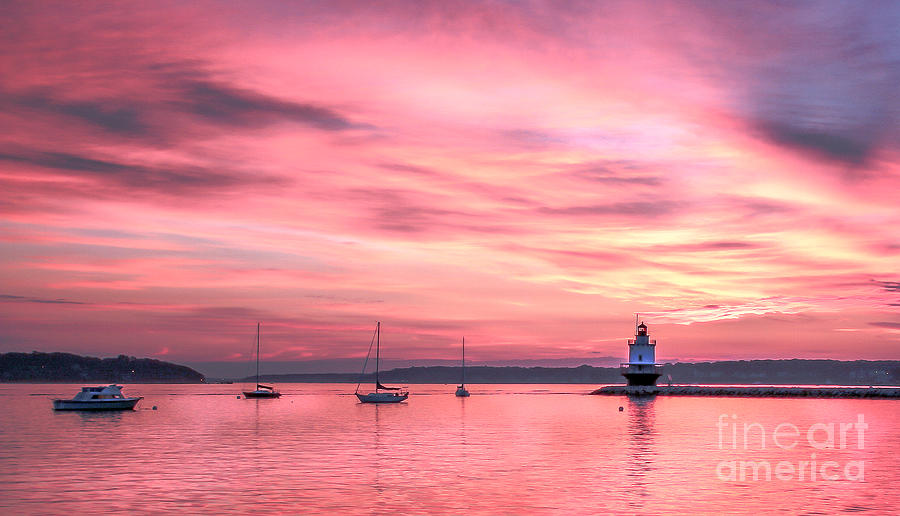 Spring Point Sunrise Photograph by Shane Borelli Fine Art America