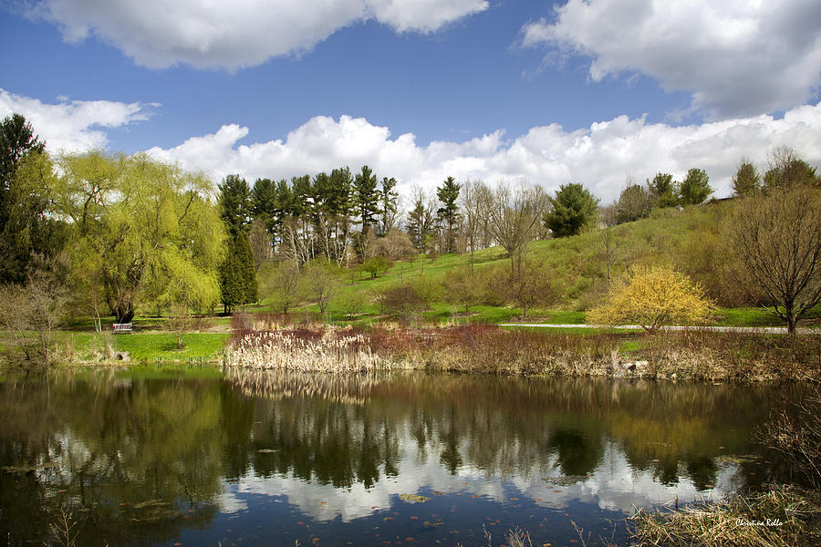 Spring Photograph - Spring Reflection Landscape by Christina Rollo