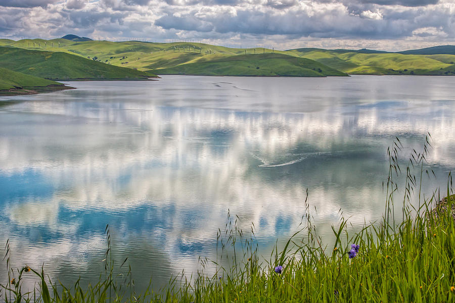 Spring Reflection Photograph by Marc Crumpler