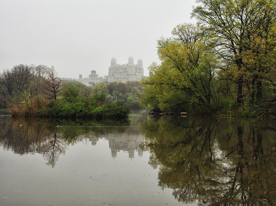 Central Park Photograph - Spring Reflections by Cornelis Verwaal