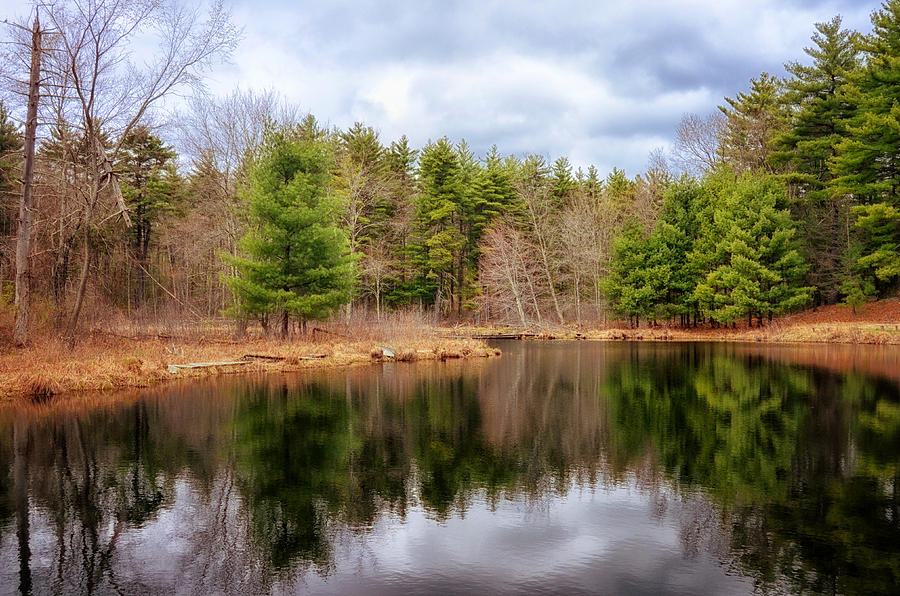 Spring Reflections Photograph by Tricia Marchlik