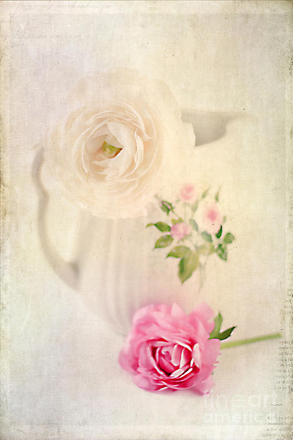 Spring Romance Photograph by Darren Fisher - Fine Art America