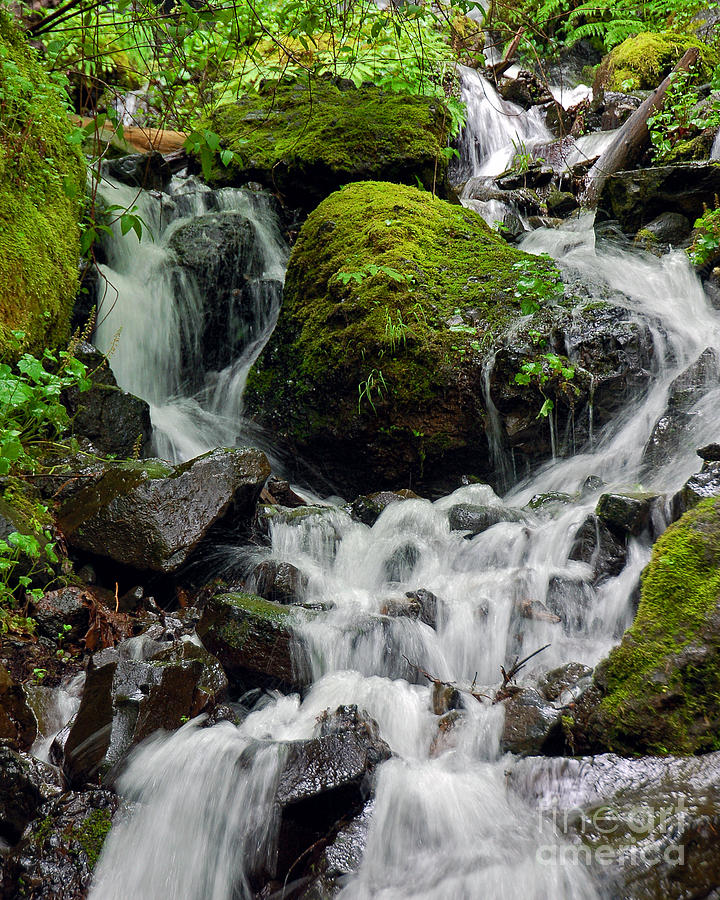Spring Runoff Photograph by Chuck Flewelling