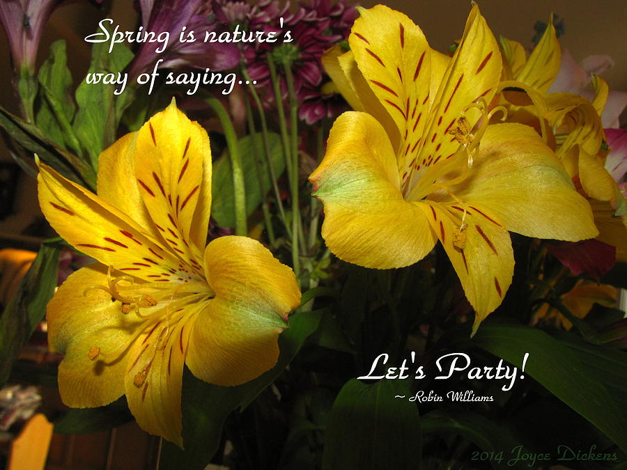 Spring Says Lets Party Photograph by Joyce Dickens