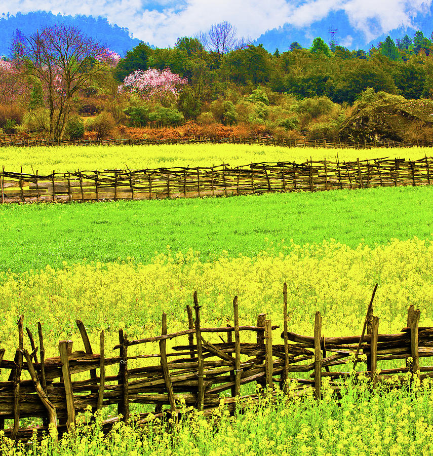 Spring Scenery In Bome Photograph by Feng Wei Photography