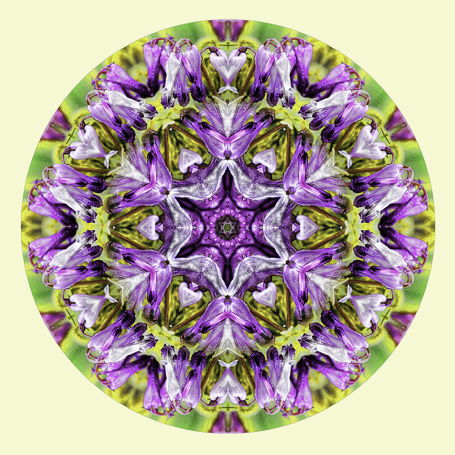 Mandala Photograph - Spring Splendor Mandala by Beth Sawickie