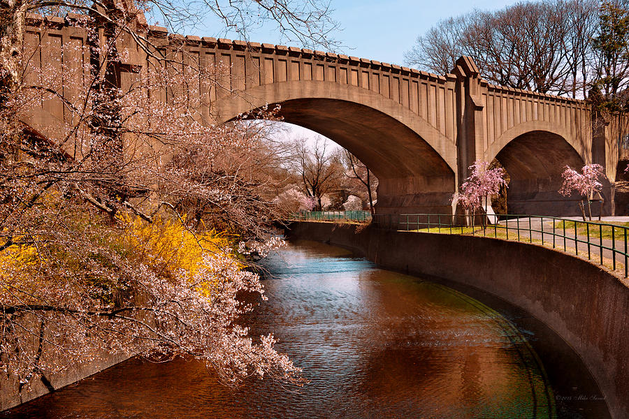 Spring - Springtime in Newark Photograph by Mike Savad