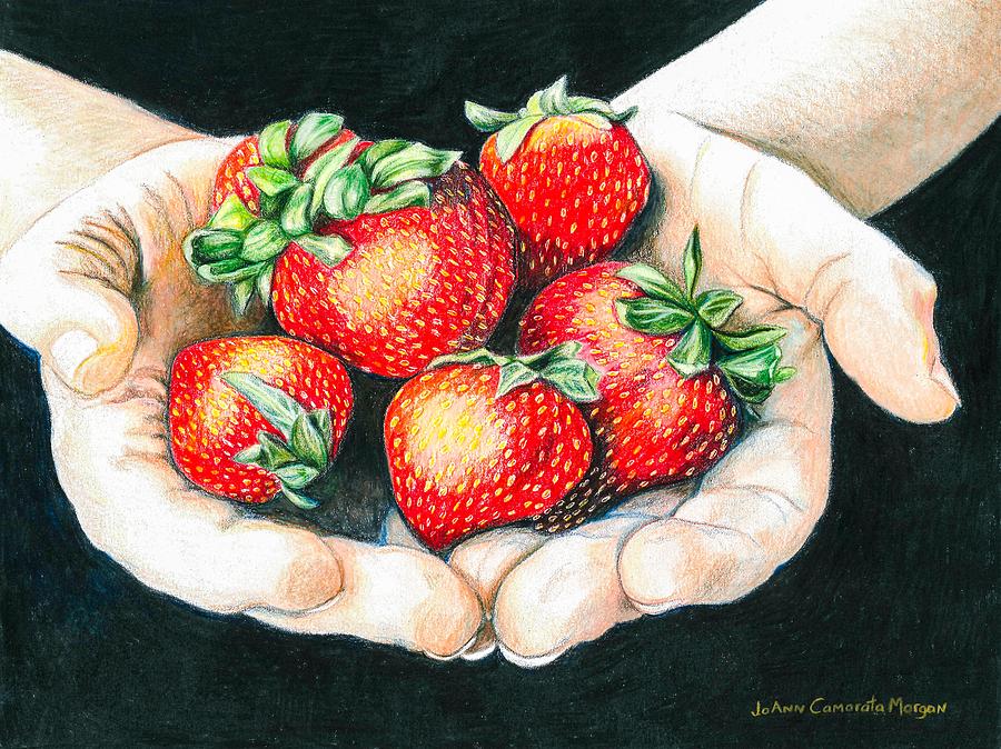 Strawberry Drawing - Spring Strawberries by JoAnn Morgan Smith