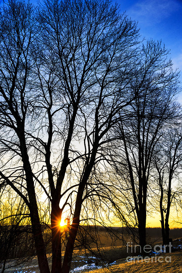 Spring Photograph - Spring Sunrise  by Thomas R Fletcher