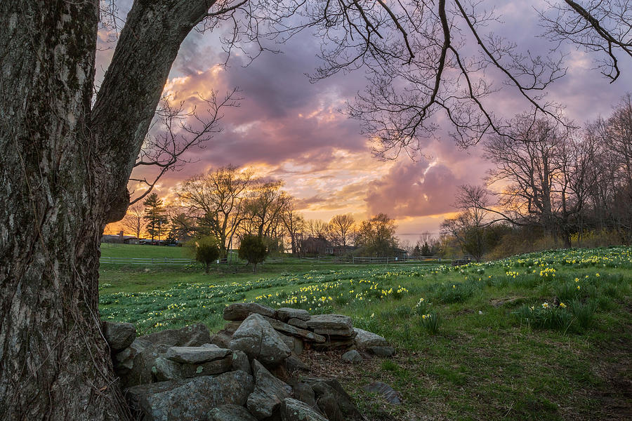 Spring Sunset Photograph by Bill Wakeley