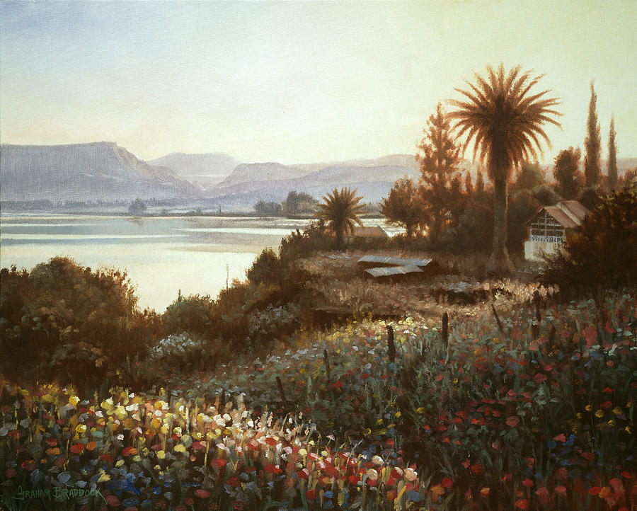 Spring Sunset  Northern Galilee Painting by Graham Braddock