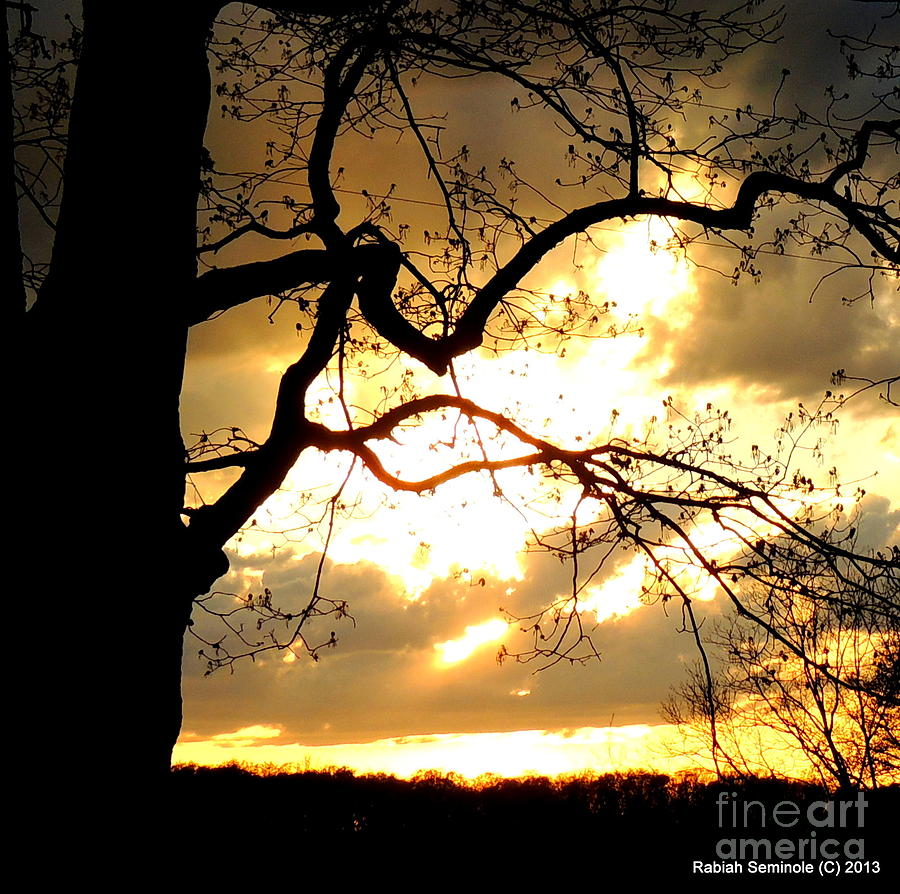 Spring Sunset Photograph by Rabiah Seminole