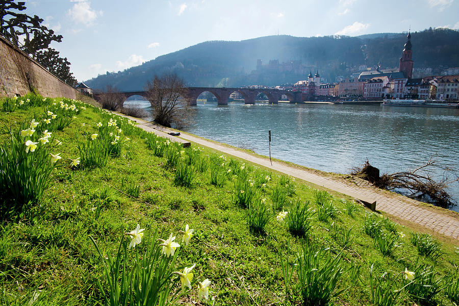 Spring Sunshine Along The River Neckar Photograph by Richard Fairless