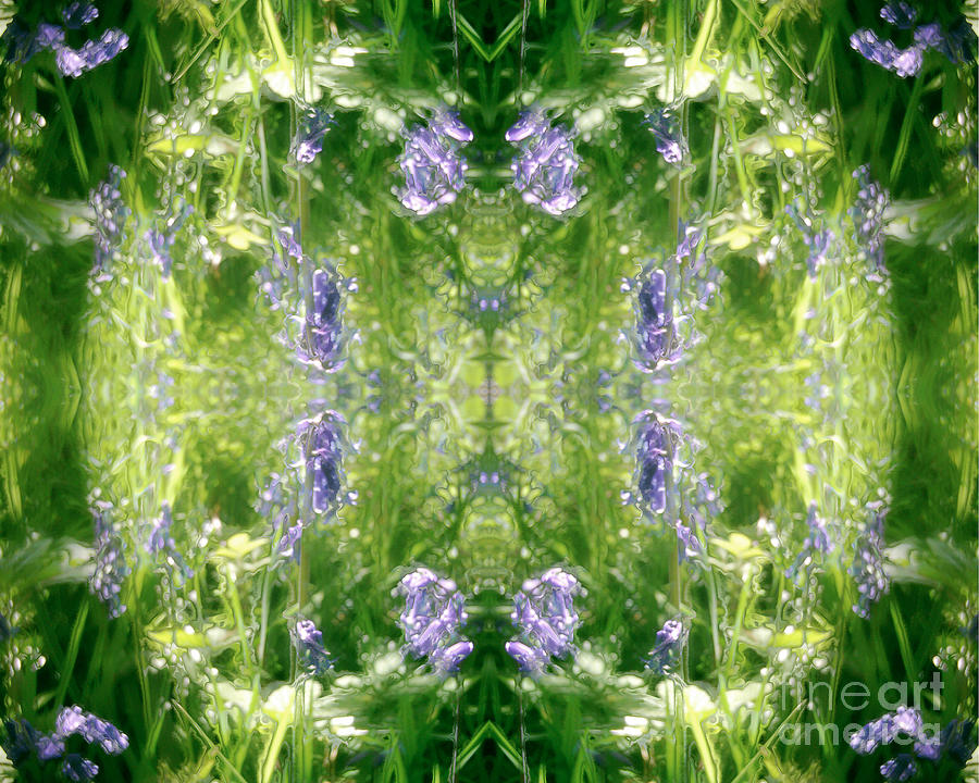 Spring Symmetry by David Hargreaves Spring Symmetry by David Hargreaves