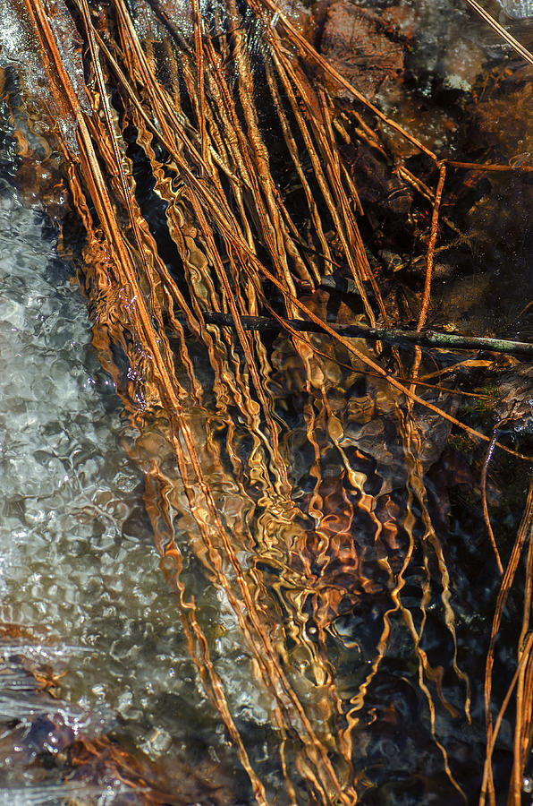 Spring Thaw Photograph by Sue Capuano