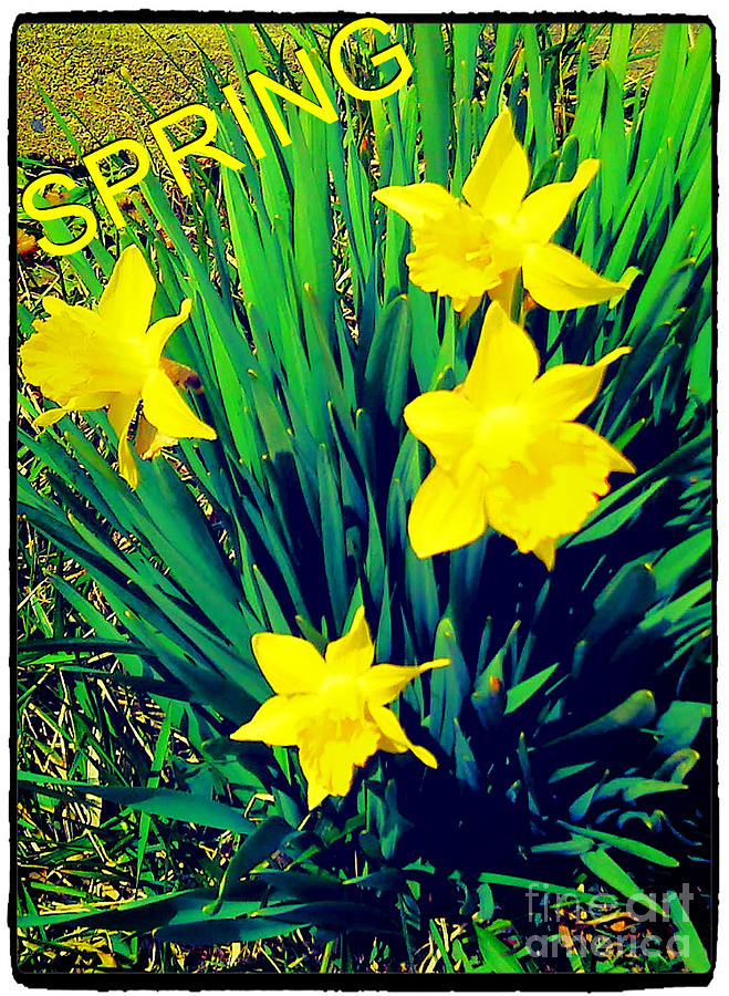 Spring Photograph - SpRiNg by Thommy McCorkle