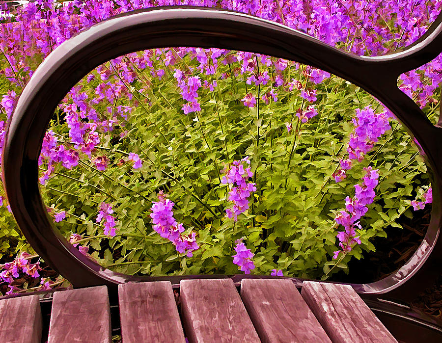 Spring Through The Eye Of A Bench Photograph by Gary Slawsky