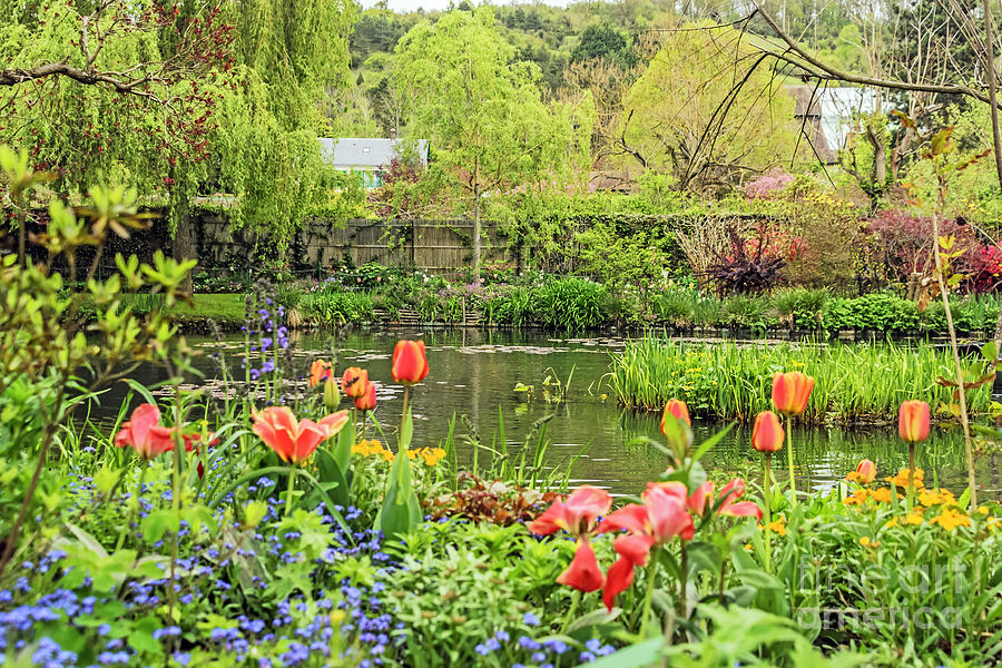Spring Time in Giverny Photograph by Elvis Vaughn