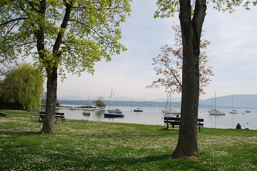 Spring Time on Lake Geneva Photograph by Ankya Klay