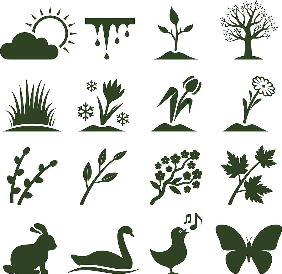 Spring time royalty free vector icon set. Drawing by Bubaone