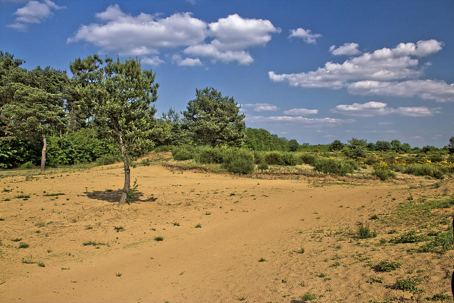 Spring time scenery landscape in Croatian desert Photograph by Brch Photography