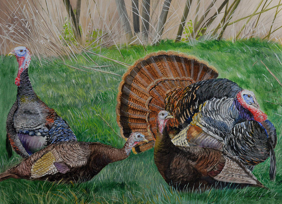 Spring Tom - Turkeys Painting by Alvin Hepler - Fine Art America