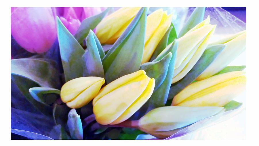 Spring Tulips Digital Art by Michelle Frizzell-Thompson