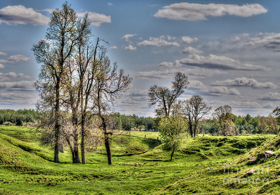 Spring Photograph - Spring Valley by Bianca Nadeau