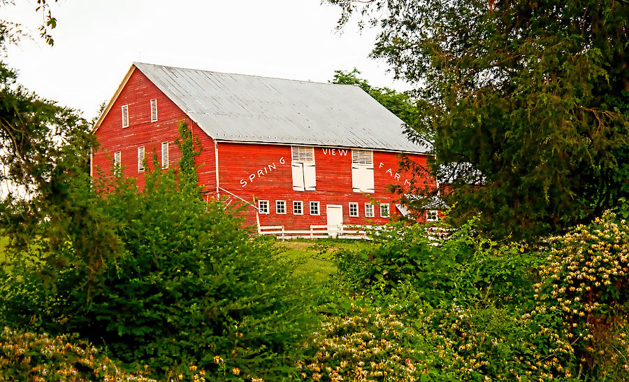 Spring View Farm - Color Photograph by Kristia Adams