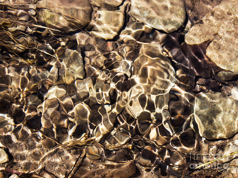 Spring Water Abstract Photograph by Barbara McMahon