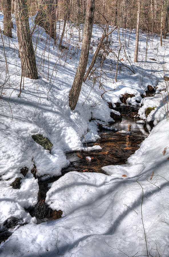 Winter Photograph - Spring Water by Lara Ellis