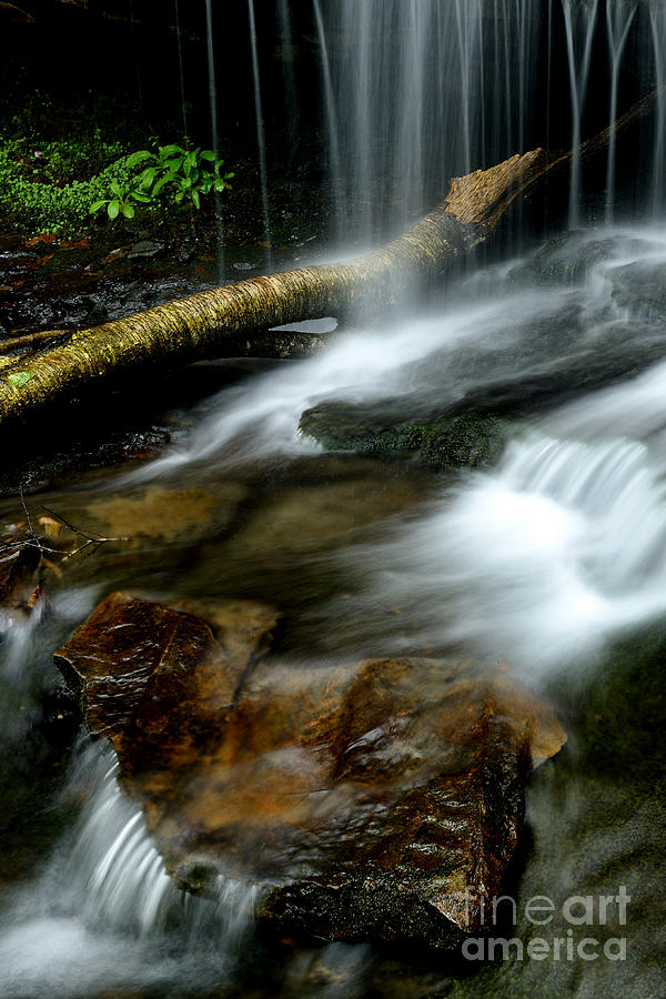 Spring Waterfall Monongahela National Forest Photograph by Thomas R Fletcher