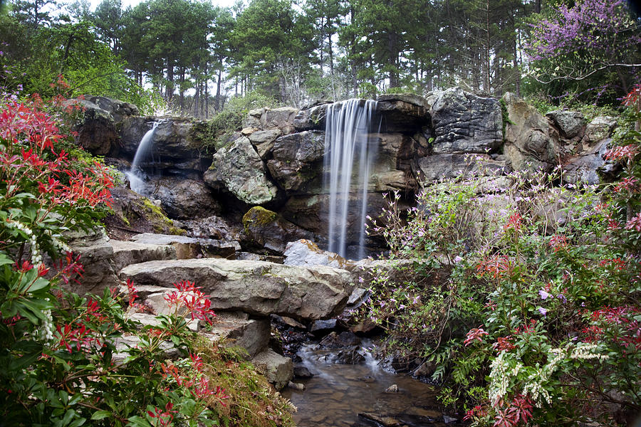 Spring Waterfall Photograph by Robert Camp