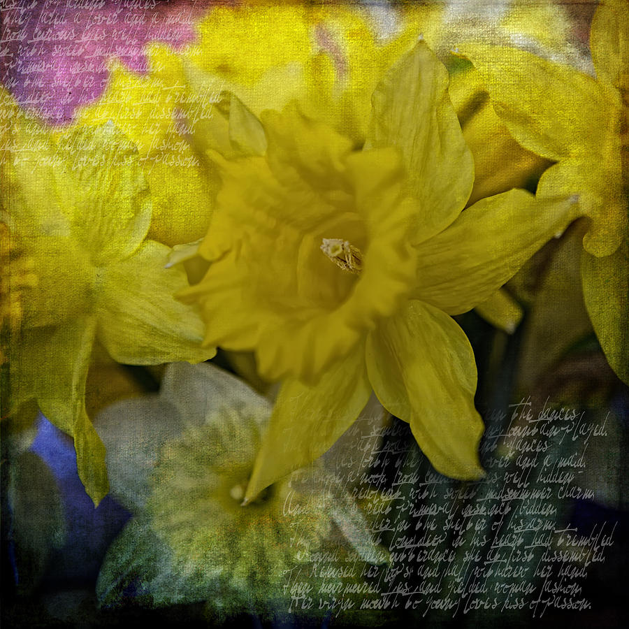 Spring Yellow Photograph by Evie Carrier