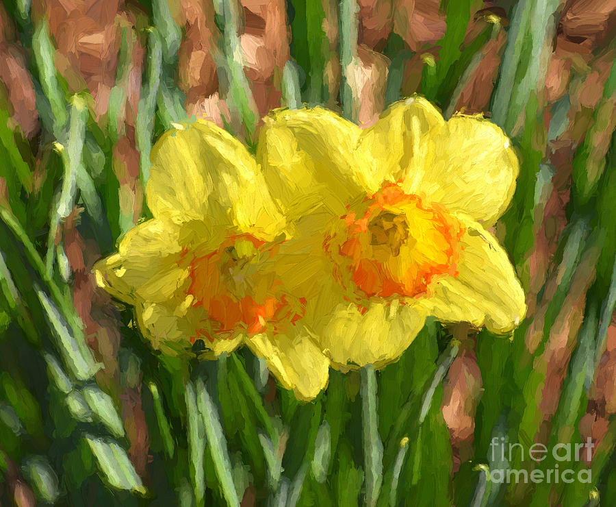 Spring Yellow  Photograph by Kerri Farley