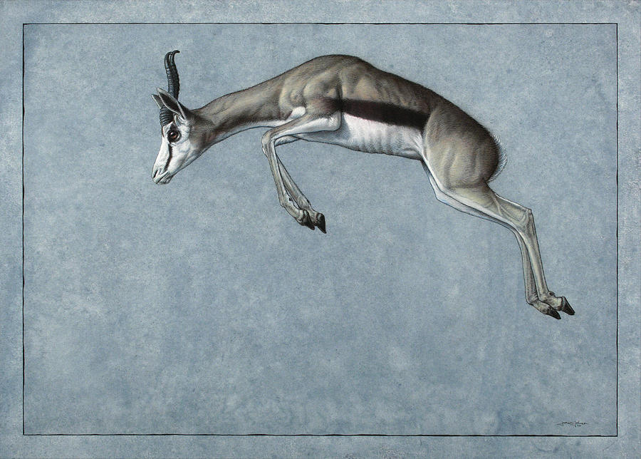 Springbok Painting - Springbok by James W Johnson Springbok Painting - Springbok by James W Johnson