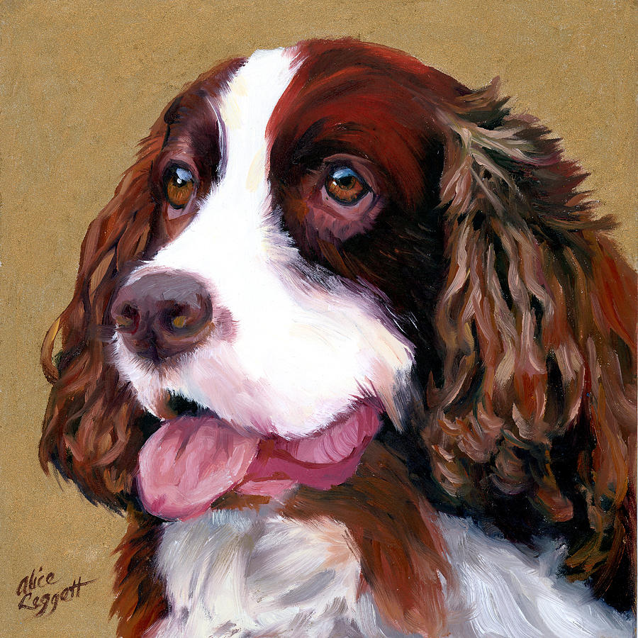 Springer Spaniel Dog Painting by Alice Leggett