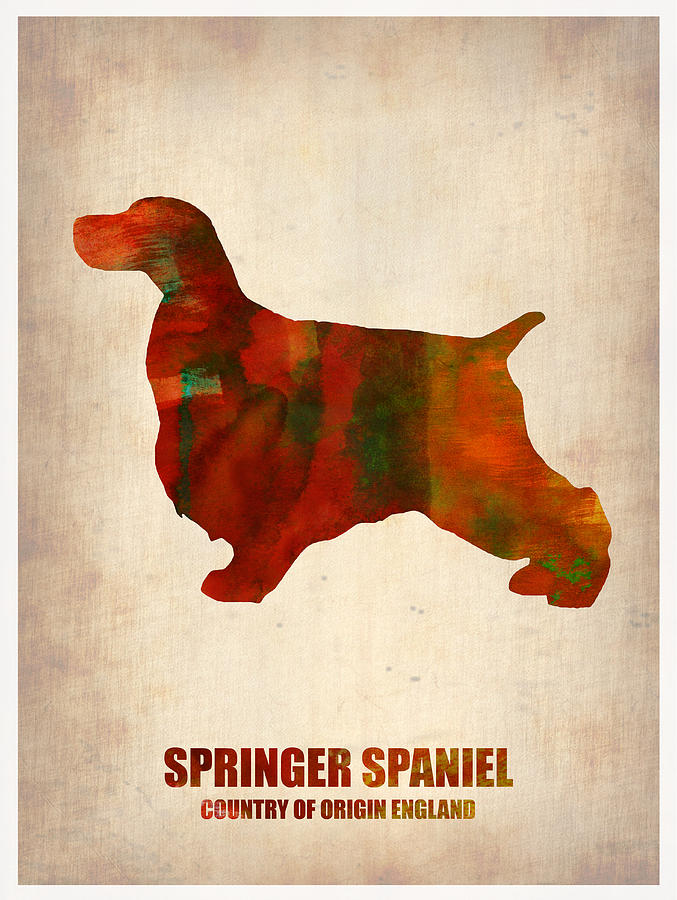 Springer Spaniel Painting - Springer Spaniel Poster by Naxart Studio