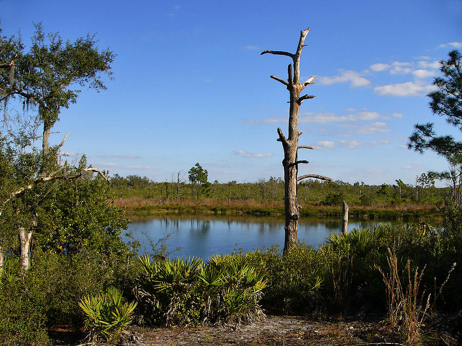 Springfed Lake. Catfish Creek Preserve.  Photograph by Chris  Kusik