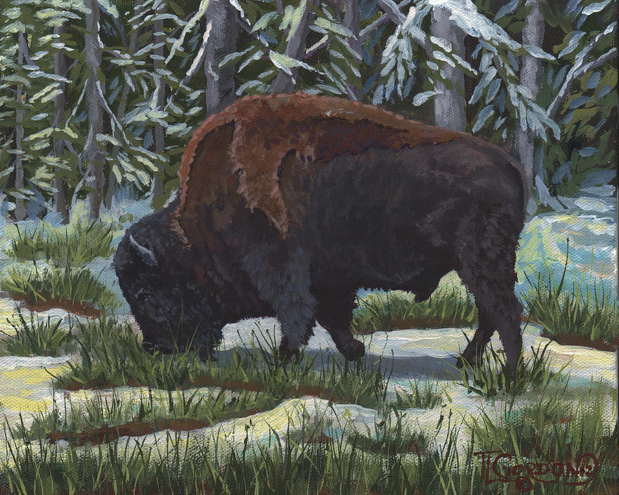 Yellowstone National Park Painting - Springs A Coming by Timithy L Gordon