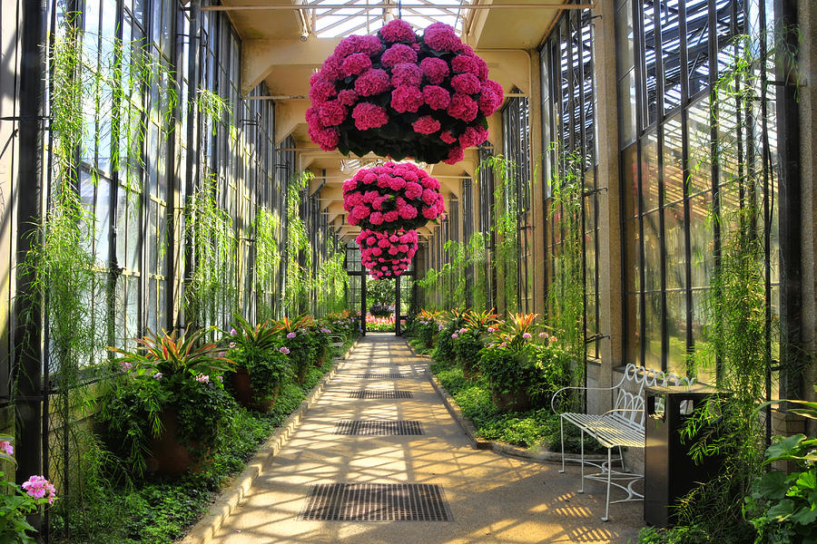 Springtime At Longwood Gardens 2 Photograph by Dan Myers