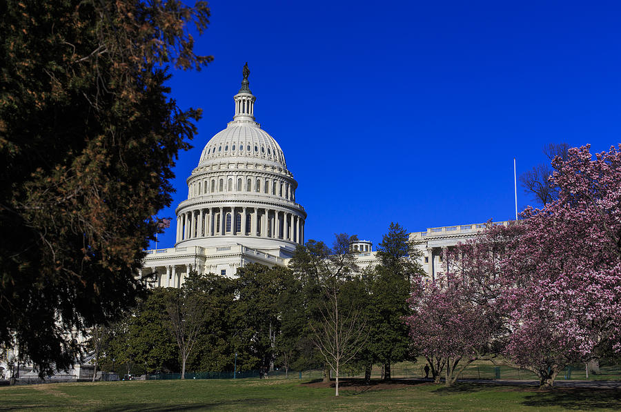 Springtime at The Capitol Photograph by Andrew Pacheco
