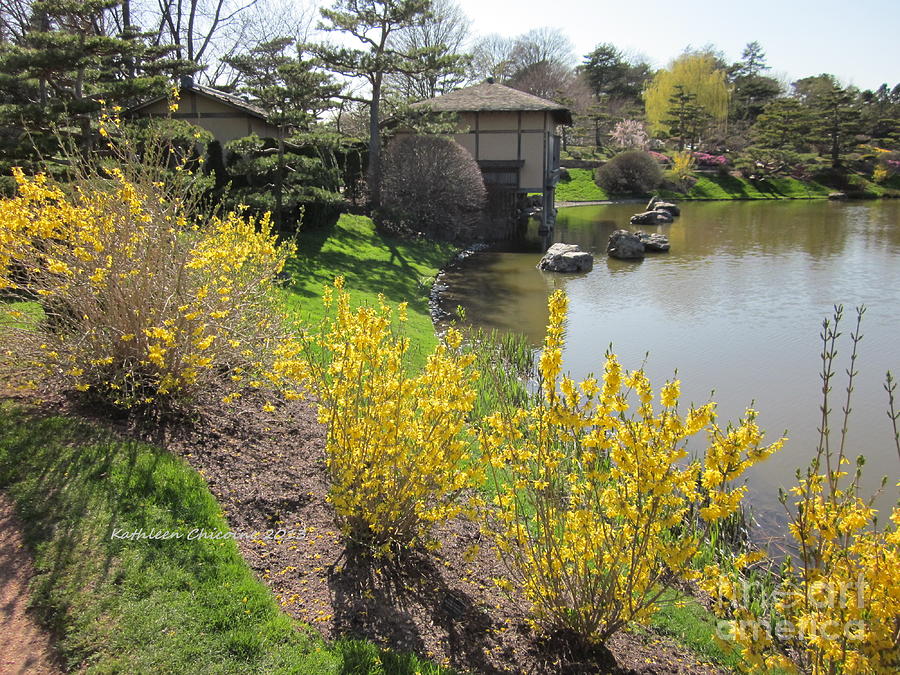 Springtime at the Japanese Gardens Photograph by Kathie Chicoine