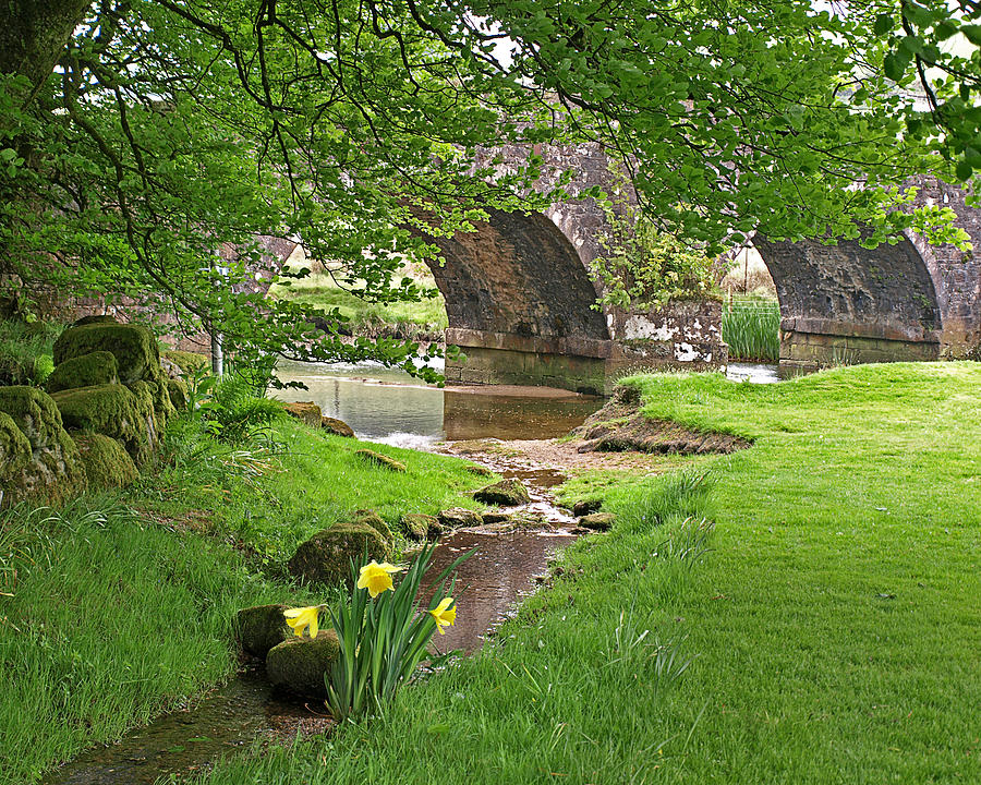 Springtime at Two Bridges Dartmoor Photograph by Gill Billington