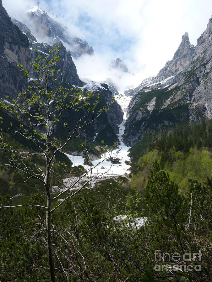 Mountain Photograph - Springtime - Brenta Dolomites by Phil Banks