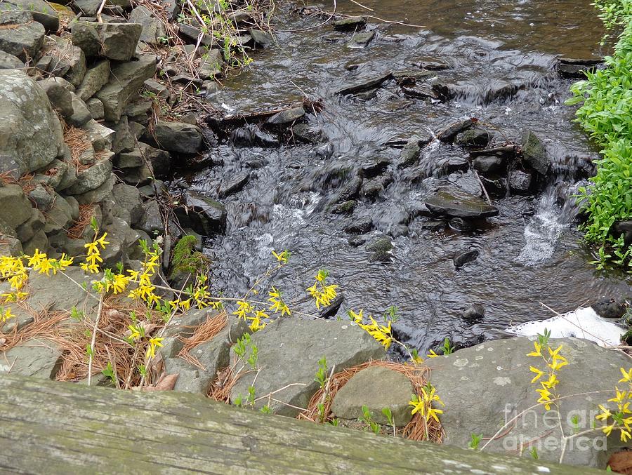 Springtime Creek Photograph by Christina Verdgeline