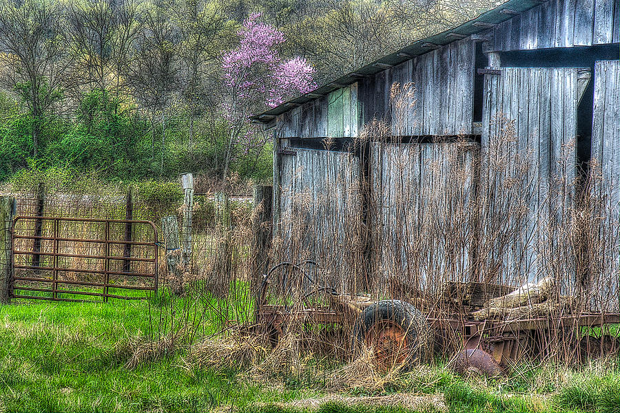 Springtime Photograph by Don Schiffner