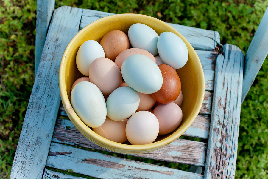 Springtime Eggs Photograph by Toni Hopper