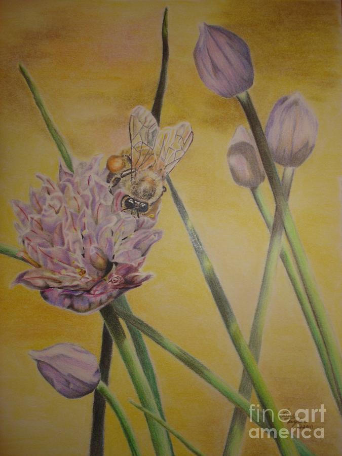 Spring Drawing - Springtime Glow by Laurianna Taylor